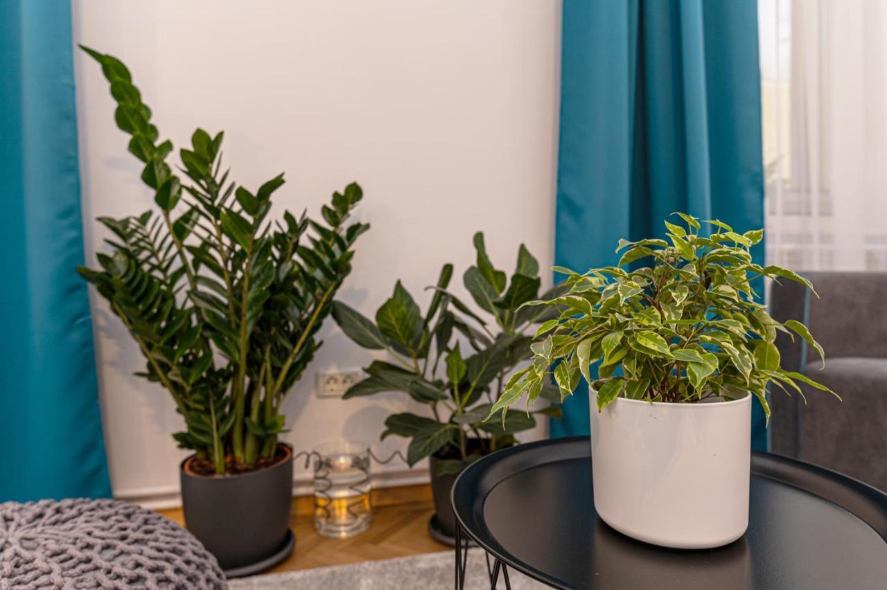 Garden Hideout - Central Apartment Braşov Eksteriør bilde